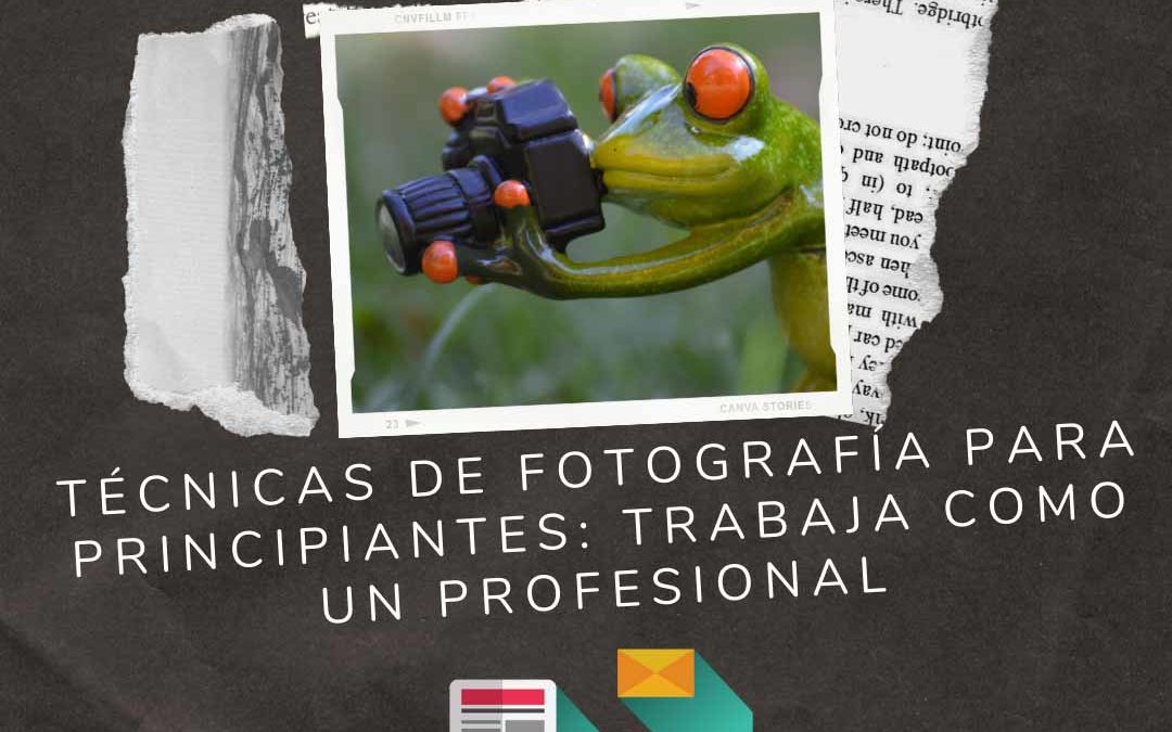 Técnicas de Fotografía para principiantes: trabaja como un profesional